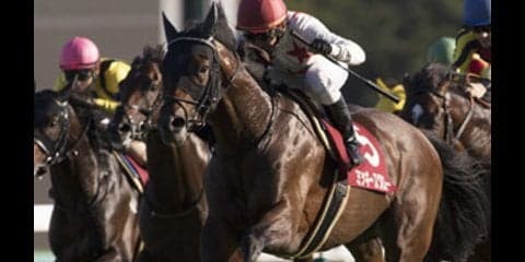 菊花賞の上がり馬、ミッキースワローの「遅れてきた大物」度を検証する