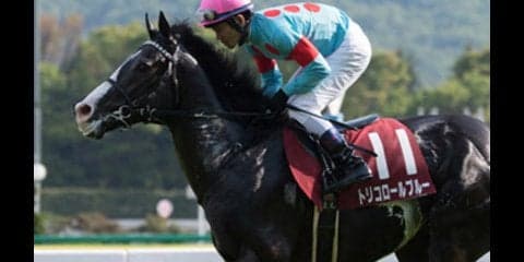 「強い馬」なき菊花賞は、やる気満々のトリコロールブルーに好機到来