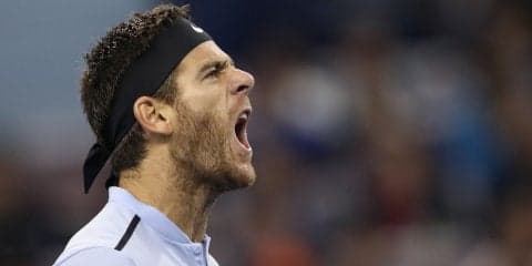 好調のデル ポトロ、2連覇達成。ディミトロフをストレートで破り[ストックホルム・オープン]