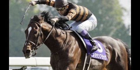 「キタサンブラックが負けるとすれば天皇賞・秋」という記者の真意は？