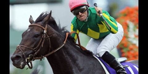 過去２年は度外視。天皇賞・秋はサトノクラウンが道悪をスイスイ勝つ