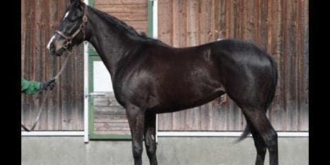 偉大な母、立派な兄を持つシーリア。女王決戦を前にポテンシャル炸裂か