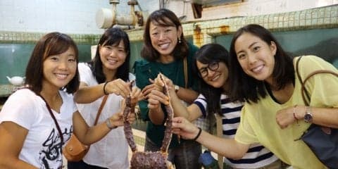 【奈良くるみBlog更新】安藤証券オープンに向けて