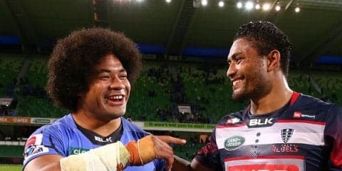  豪州代表HOポロタナウ、2年半契約で英国レスター・タイガースへ移籍決定 