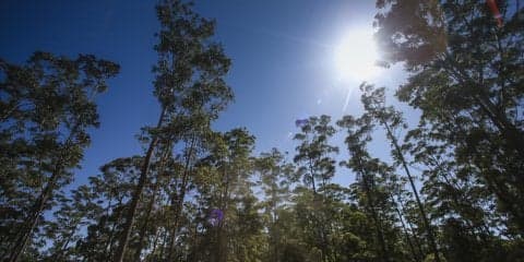 ヒュンダイ、2017シーズン最終戦で好リザルトを狙う