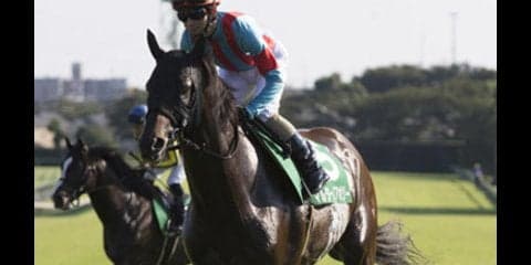 マイルCSに「空前の穴馬が４頭いる！」穴党記者が絶叫する馬名は？