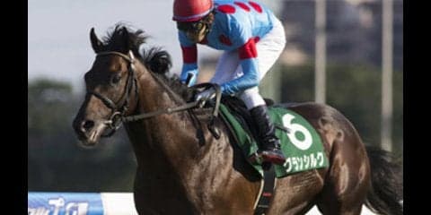 マイルCSは有力馬に隠れてパカパカ走る「人気薄３頭」で懐ポカポカ