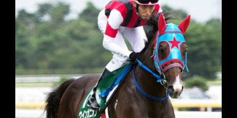 マイルCSだから侮れぬ「夏のマイル王」。有力ＧＩ馬勢に肉薄あるぞ