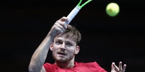 ゴファンがデビスカップでシーズンの最高の締め括りを狙う