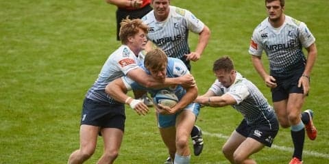  宗像サニックスに新風もたらすか　南ア出身FWが追加入団 