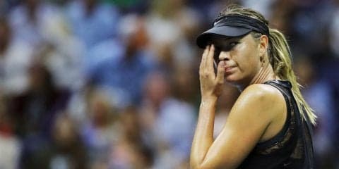 シャラポワ、世界1位のハレプ、2017全仏女王オスタペンコが'18年の「深セン・オープン」参戦へ