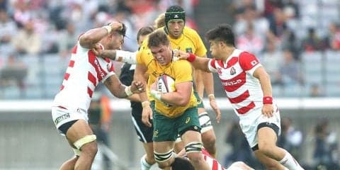  サントリーが大きな補強！　現オーストラリア代表NO8のマクマーン加入！ 