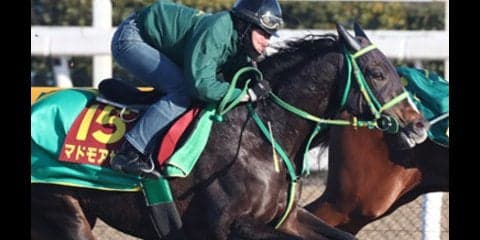 阪神JFは荒れて当然。「気まぐれ少女の穴馬３頭」がボーナス支給だ