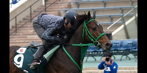 今週は香港だ。「強い日本調教馬」で、レースも馬券も世界に勝つぞ！