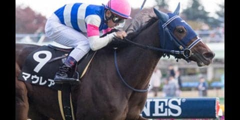 オルフェ娘２頭に待った！阪神JFはディープ娘マウレアに勝機あり