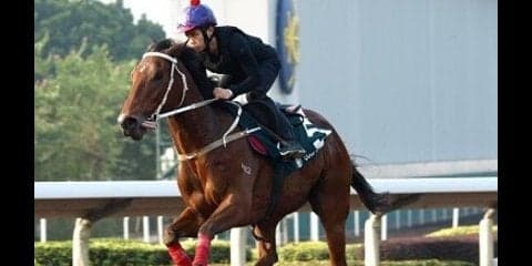 香港競馬は大チャンス。「日本の人気」が見逃す実績馬がゾロゾロいる