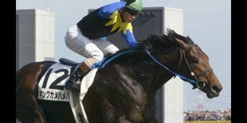 リバティハイツは国際派のキンカメ産駒。三度目の正直でついにデビュー