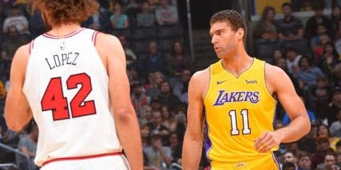 ネコ大好きブルック・ロペス、飼っている猫を山火事から救うためリムジンを手配