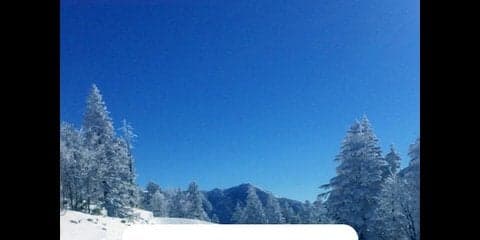 天気アプリ「ウェザーニュースタッチ」がゲレンデコンディション通知を開始