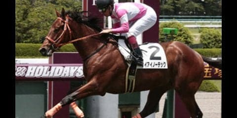 朝日杯FSの人気馬に疑問。穴党記者は鼻息荒く「稼げる２頭」を叫ぶ