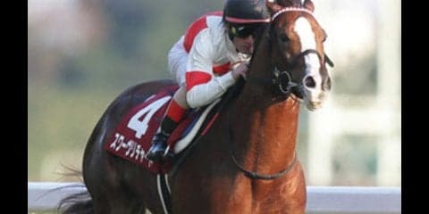 手前を替えろ、スワーヴリチャード！それなら有馬記念で古馬に勝てる