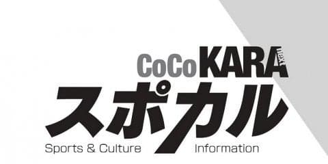 スポーツやカルチャーに関する情報