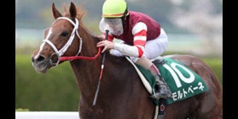 波乱続きの東海Ｓ。穴党記者が推すのは「えッ!?」と驚く超穴馬ばかり