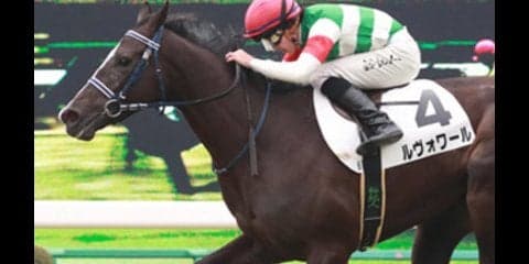 資質はＧＩ級のフィエールマン。陣営の願いは「とにかく無事で…」