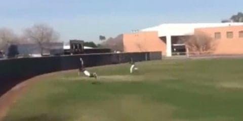 まだ1月なのに…米で早くも「今年最高の捕球」が誕生!?　「まるで魔術のよう」