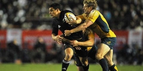  正式発表！ 10月27日、横浜でオールブラックス×ワラビーズ。 