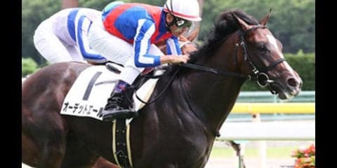 今の京都はディープ産駒に難。きさらぎ賞は「ジワ伸び２頭」が大正解