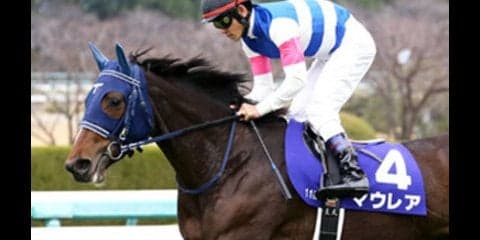 全姉アユサンに続け。桜花賞の姉妹Ｖを狙うマウレアは姉より強い体質