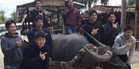 ロッテルーキーが休日に珍リフレッシュ　ドラ1安田「水牛パワーでいきます」