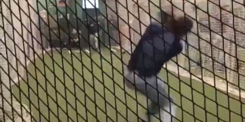 米大学の投手が強烈ライナーを衝撃のスーパーキャッチ、現地で話題に