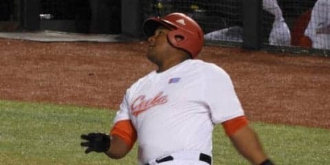 【カリビアンS】キューバ代表で負傷の鷹デスパ、合流後は“オレ流調整”!?　「十分間に合う」