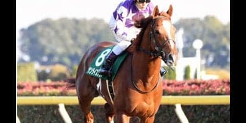 フェブラリーＳなら信頼のゴールドアリュール産駒。中でも狙い目は？