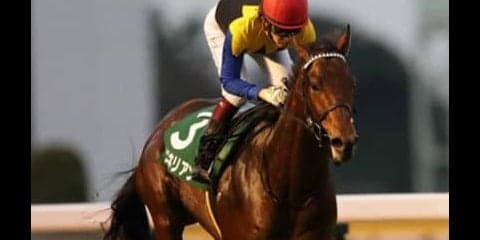 あのワグネリアンが「よりダイナミックになった」との情報をキャッチ