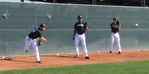 MLBでも同じ年に同じチームでデビュー　日ハム新助っ人コンビにかかる期待