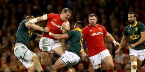  米国・ワシントンでウェールズ代表×南アフリカ代表戦、開催決定！ 