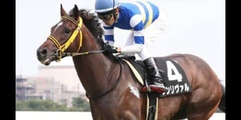 ２強対決・弥生賞で「空気を読まない穴馬２頭」のトンデモ激走あるぞ