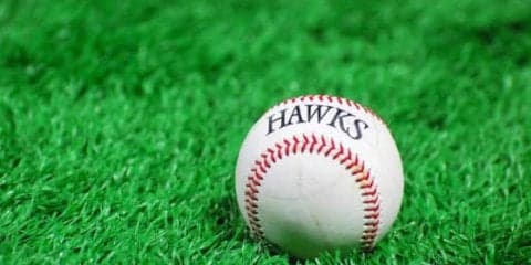 ホークス衝撃企画が3日に開催　ほぼ全席2500円で224種のグルメ食べ放題