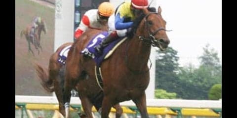 アンコールプリュは次元の違う末脚だ。桜花賞へ、新たなスター登場か