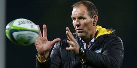  日本代表の防御鍛えたプラムツリー　来季から3年契約でハリケーンズHC就任 