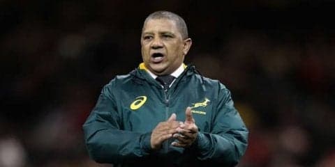  南ア代表前指揮官のクッツェー、キヤノンのヘッドコーチ就任！　日本で再挑戦 