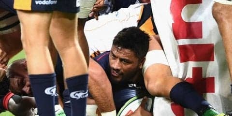  マフィが2試合連続トライなど大活躍！　レベルズ3連勝で首位キープ 