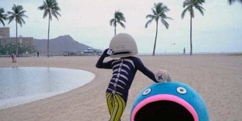 ロッテがハワイアン航空とパートナー契約　謎の魚「ジャパンは寒い！」