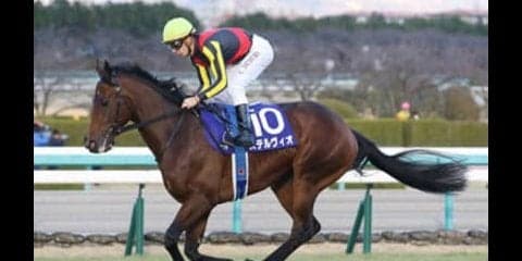 スプリングＳはステルヴィオにあらず。怪物息子に「奇跡の春」がくる