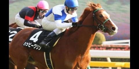 スプリングＳは「ひっそり系穴馬３頭」が目立たぬように隠れているぞ