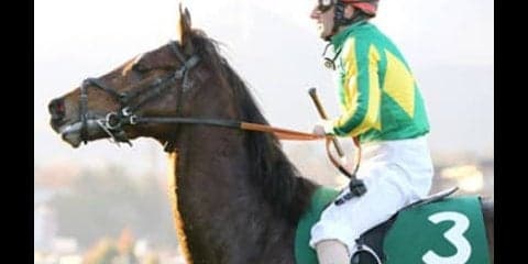 今年だけ荒れる阪神大賞典。穴党記者の４頭でトクトク馬券の組み合わせ