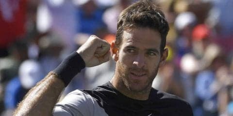 デル ポトロがフェデラーの連勝を止めて優勝を飾る[男子テニスATPワールドツアー マスターズ1000 インディアンウェルズ]